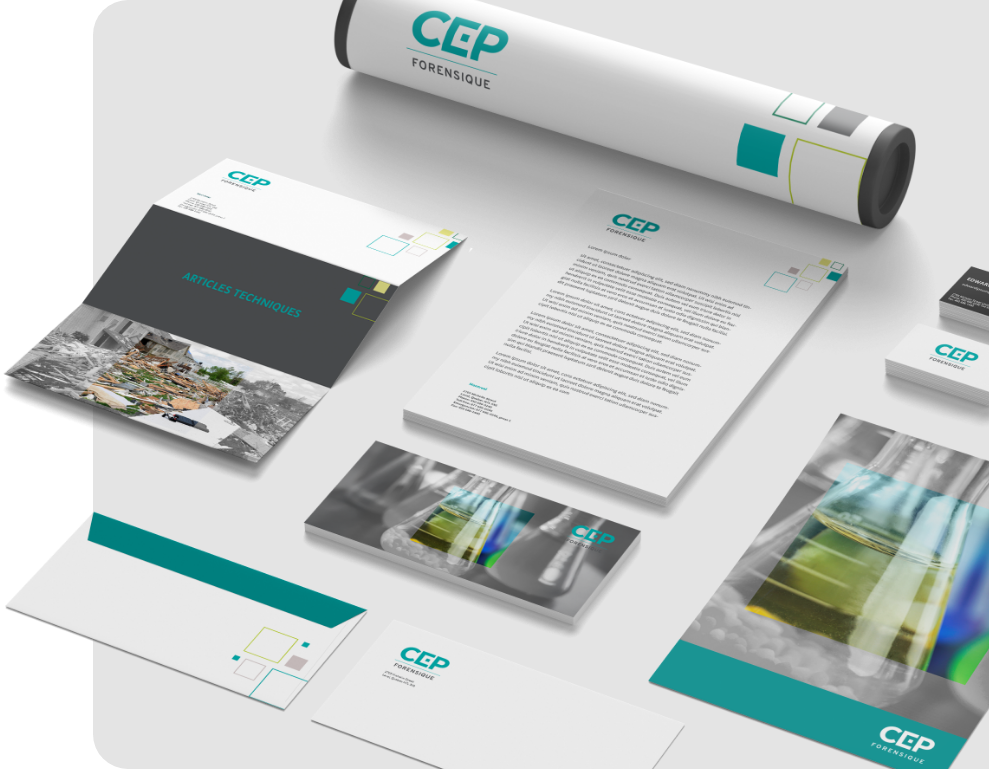 Image of the project
