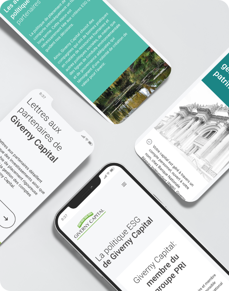 Image of the project