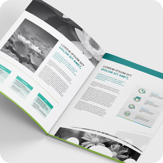 Right image of the Two images block