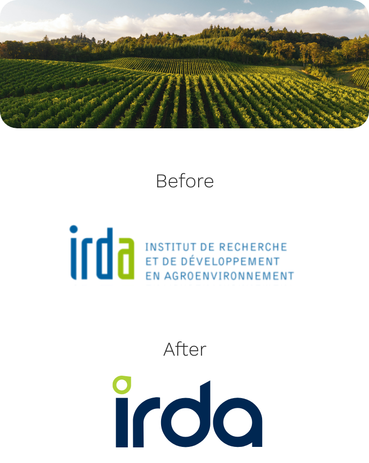 Image of the project