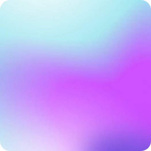 Image du projet