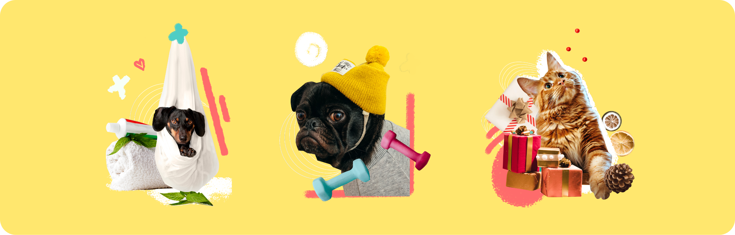 Image contained in the wrapper