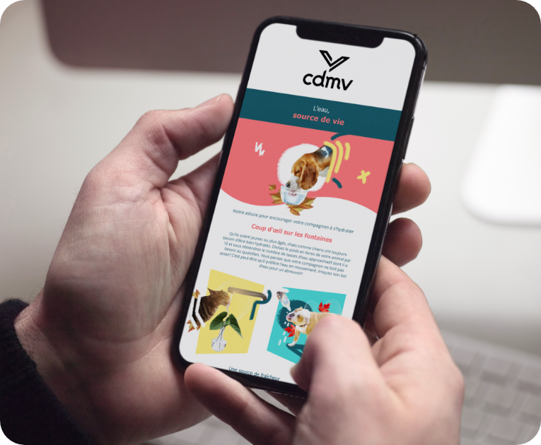 CDMV