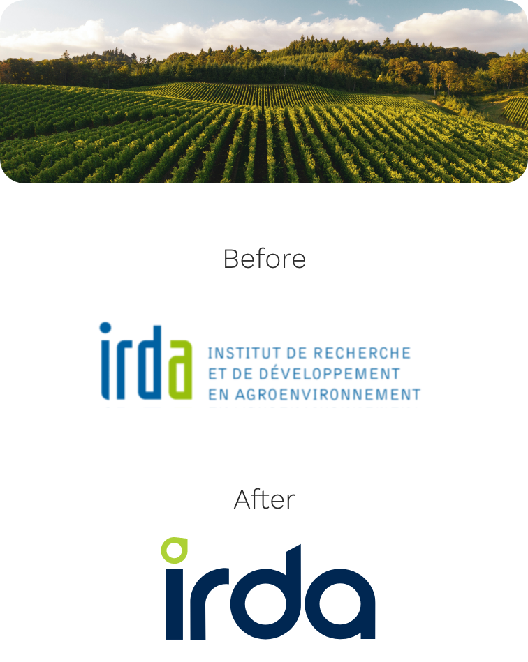 Image of the project